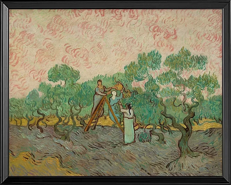 Frauen, die Oliven pflücken - 1889