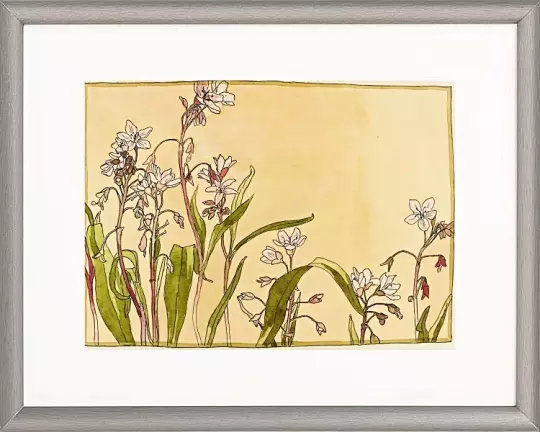 Frühlingsschönheit - 1915