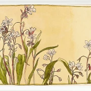 Forårsskønhed - 1915