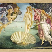 Geburt der Venus - 1485