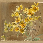 Gul og orange blomst - 1915