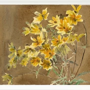 Gul og orange blomst - 1915