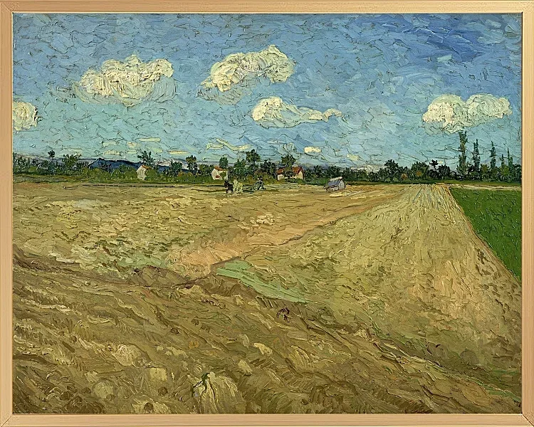 Pløjede marker - 1888