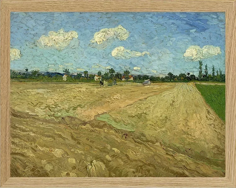 Pløjede marker - 1888