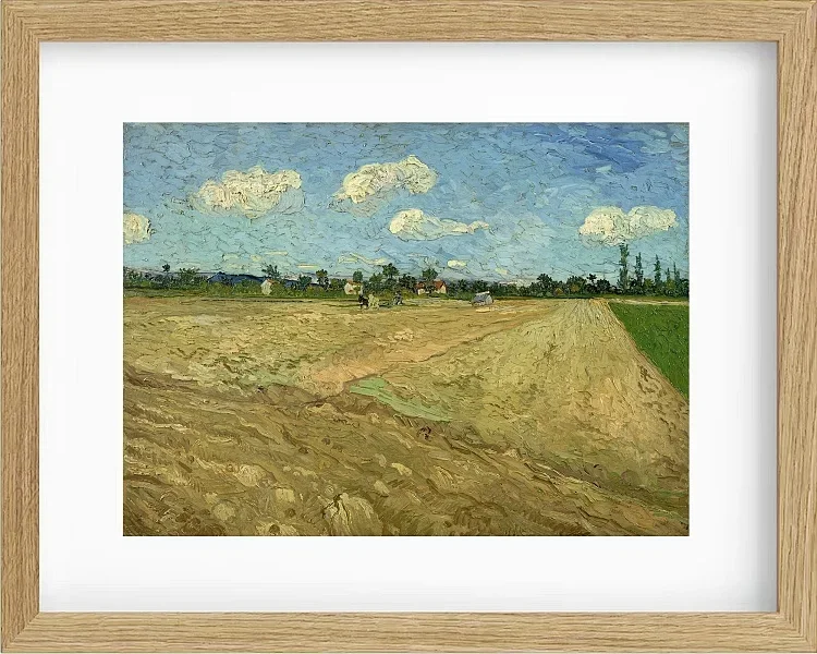Pløjede marker - 1888