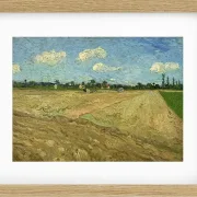 Pløjede marker - 1888