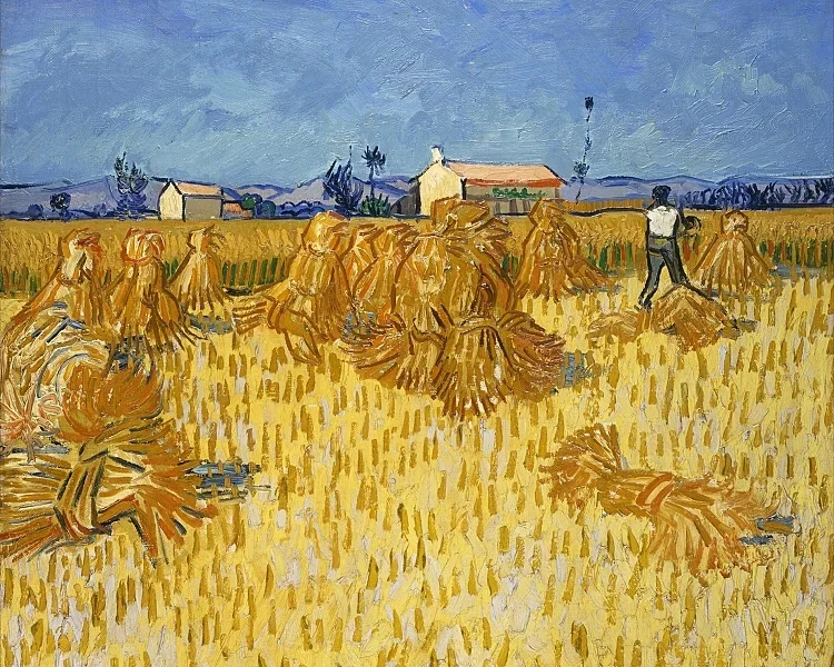 Kornhøst i Provence - 1888