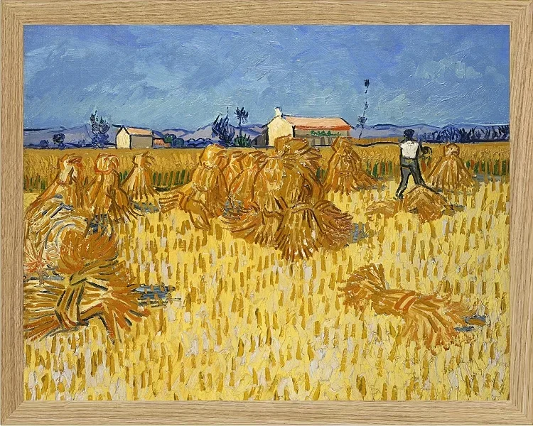 Kornhøst i Provence - 1888