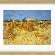 Kornhøst i Provence - 1888