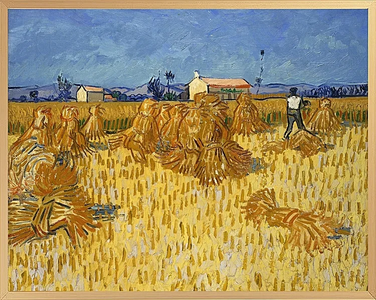 Kornhøst i Provence - 1888