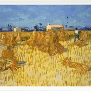 Kornhøst i Provence - 1888