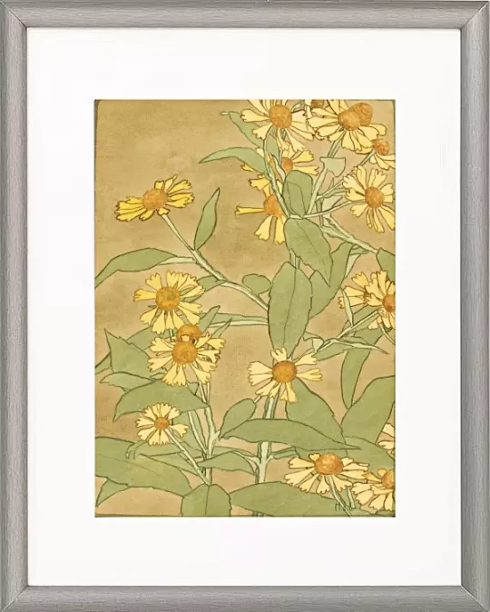 Gänseblümchen orangefarben und gelb - 1915