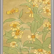 Tusindfryd orange og gule - 1915