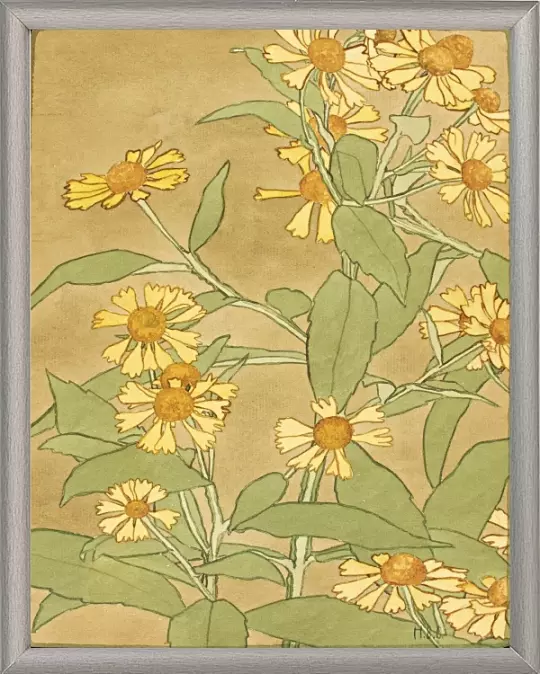 Tusindfryd orange og gule - 1915