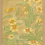 Tusindfryd orange og gule - 1915