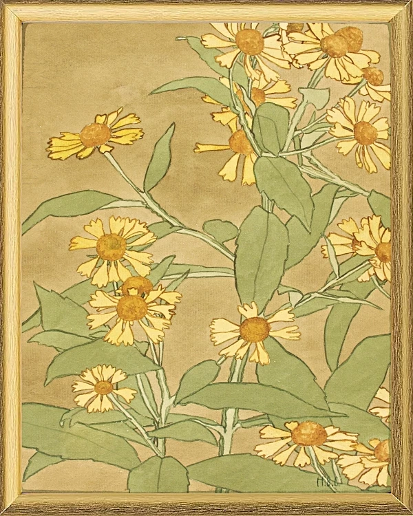 Tusindfryd orange og gule - 1915