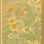 Tusindfryd orange og gule - 1915