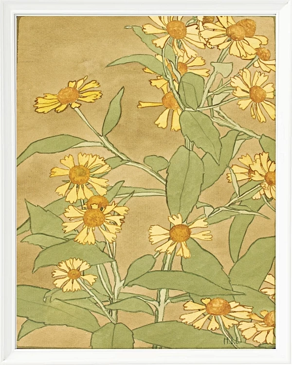 Tusindfryd orange og gule - 1915