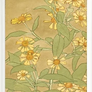 Tusindfryd orange og gule - 1915