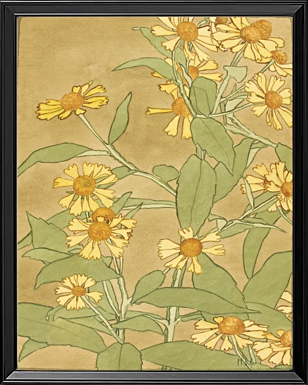 Tusindfryd orange og gule - 1915