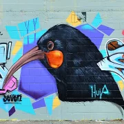 Graffiti Bilder - 18