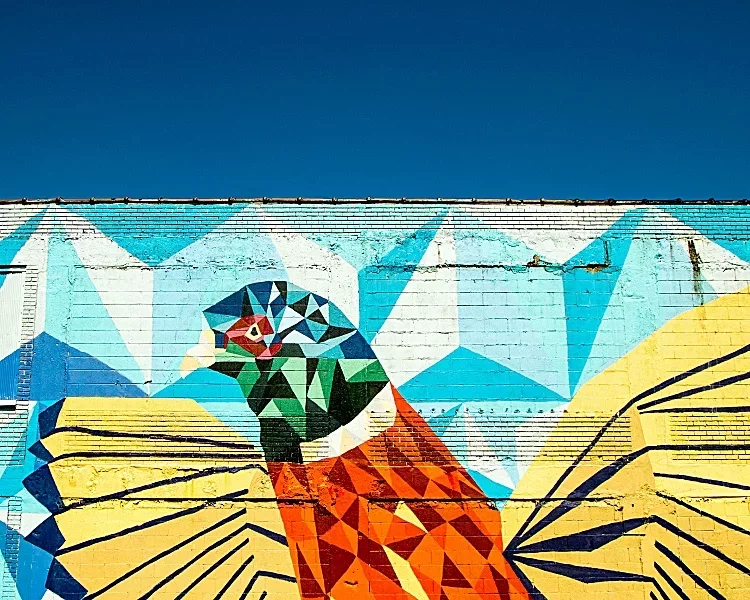 Graffiti Bilder - 42