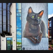 Graffiti Bilder - 56