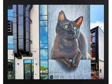 Graffiti Bilder - 56