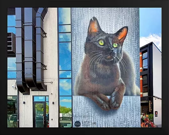 Graffiti foto - 56