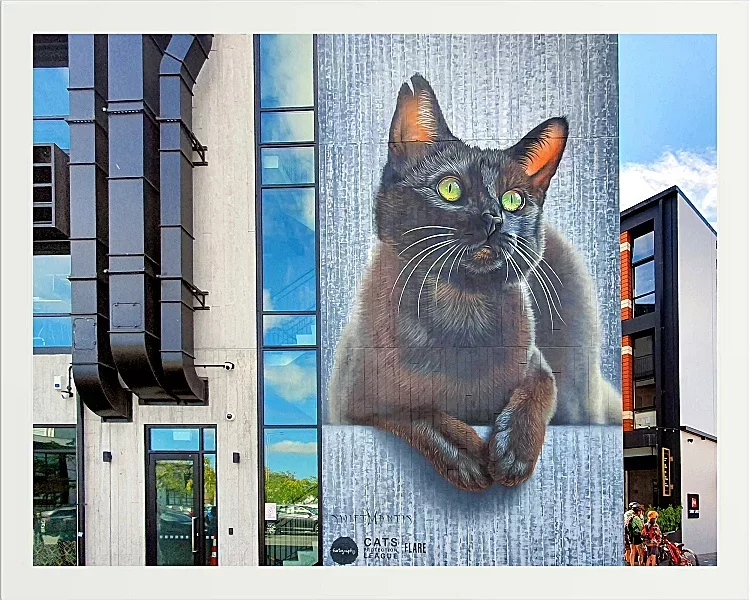 Graffiti Bilder - 56