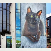 Graffiti Bilder - 56