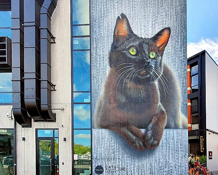 Graffiti Bilder - 56