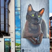 Graffiti Bilder - 56