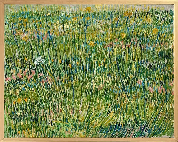 Græspletter - 1887