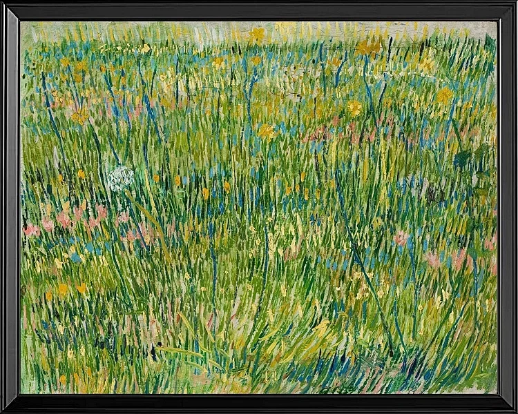 Græspletter - 1887
