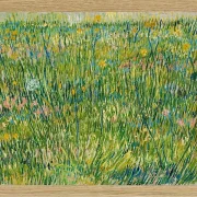 Græspletter - 1887