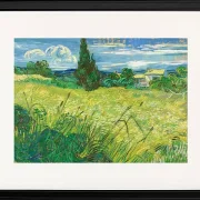 Grønt felt - 1889