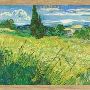 Grønt felt - 1889
