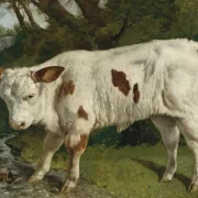 Gustave Courbet | Den hvide kalv – 1845 | Indrammet kunsttryk | Realisme