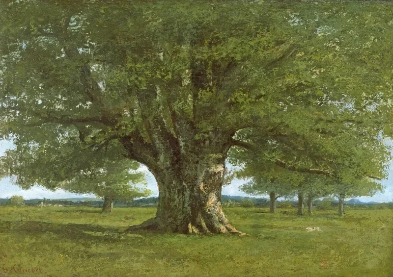 Gustave Courbet | Flageys egetræ - 1864 | Indrammet kunsttryk | Realisme