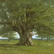 Gustave Courbet | Flageys egetræ - 1864 | Indrammet kunsttryk | Realisme