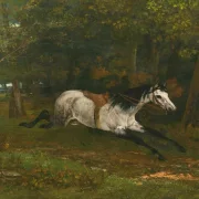 Gustave Courbet | Durchgehendes Pferd - 1861 | Gerahmter Kunstdruck | Realismus