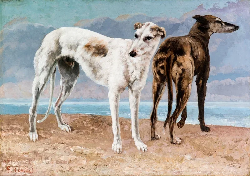 Gustave Courbet | Comte de Choiseuls greyhounds – 1866 | Indrammet kunsttryk | Realisme