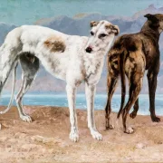 Gustave Courbet | Comte de Choiseuls greyhounds – 1866 | Indrammet kunsttryk | Realisme