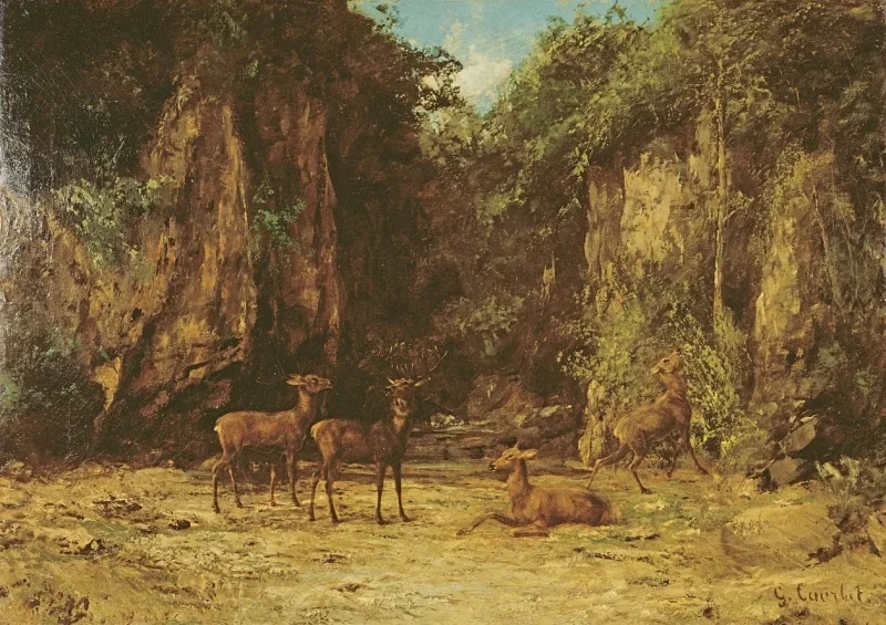 Gustave Courbet | Flok kronhjorte i skumringen - 1899 | Indrammet kunsttryk | Realisme