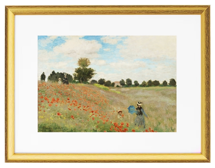 Poppy Field - 1881