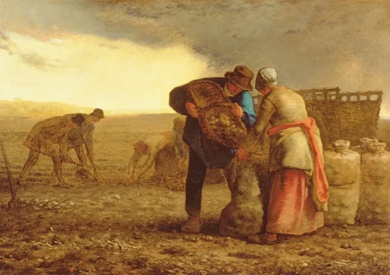Jean-François Millet | Kartoffelhøsten – 1855 | Indrammet kunsttryk | Realisme