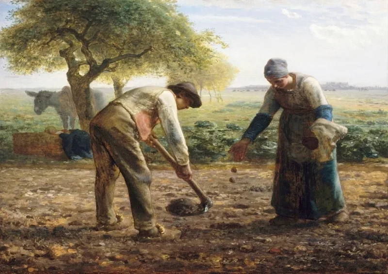 Jean-François Millet | Kartoffeludlægger - 1861 | Indrammet kunsttryk | Realisme