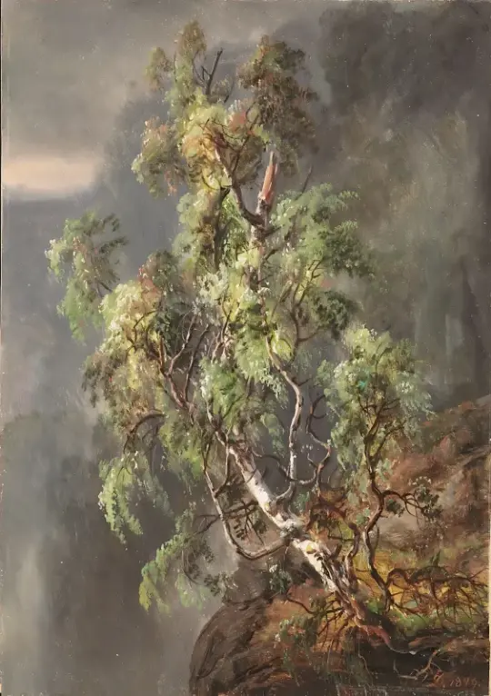 Johan Christian Dahl | Birketræ i en storm - 1849 | Indrammet kunsttryk | Romantic | formida