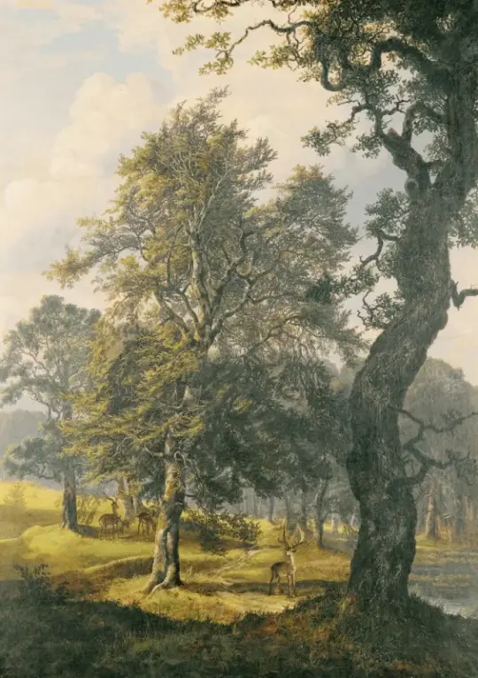 Johan Christian Dahl | Dyrehaven Near Copenhagen - 1853 | Indrammet kunsttryk | Romantic | formida